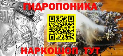 кокс Обь
