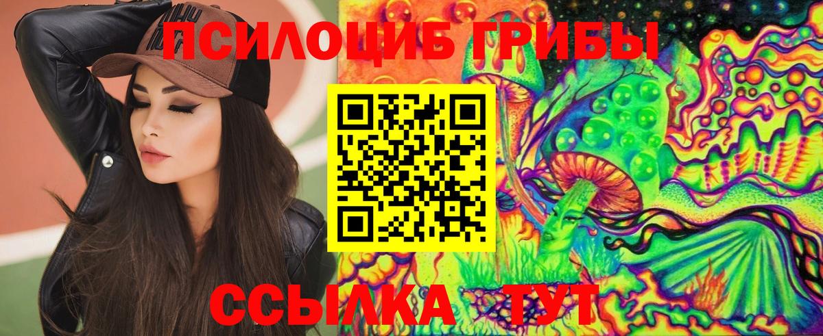 Галлюциногенные грибы прущие грибы Новочеркасск