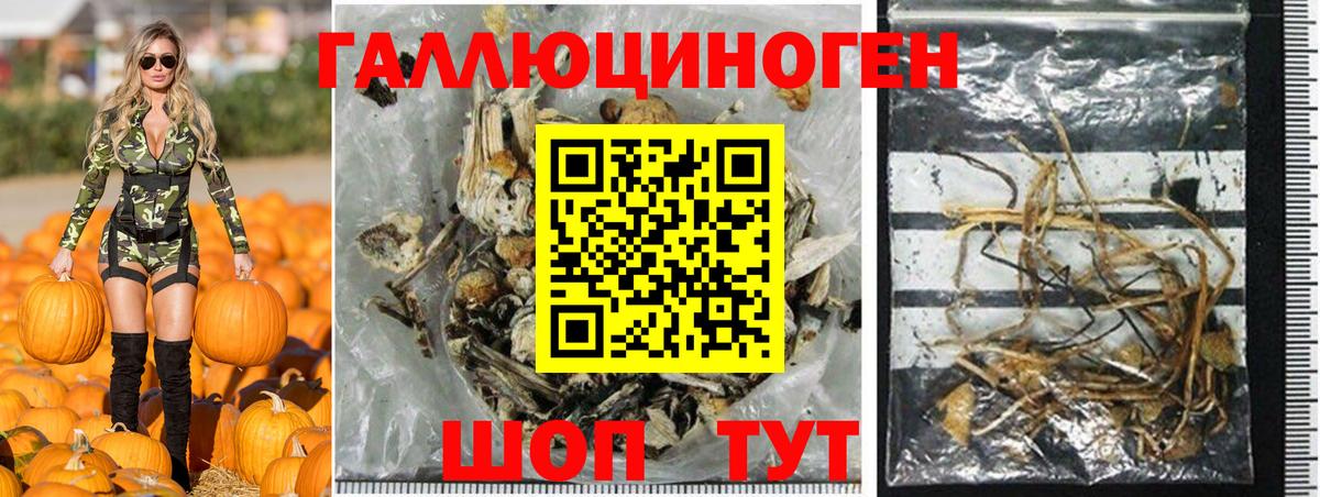 Галлюциногенные грибы Psilocybe  Псилоцибиновые грибы Magic Shrooms  купить наркоту  Новочеркасск  Вход с VPN 